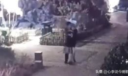 淄博吃瓜爆料事件视频播放,视频揭秘事件背后真相