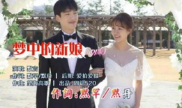 厦门新娘电视剧,跨越海峡的浪漫传奇