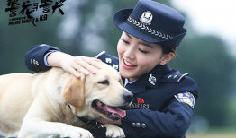 电视剧警犬与警花,生死搭档，守护正义的守护神