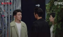闪亮爱电视剧剧情介绍,青春校园的甜蜜邂逅与成长之旅