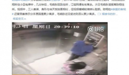 郑州吃瓜爆料视频曝光事件,揭秘背后真相与网络舆论风暴