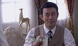 电视剧密使全集,潜伏风云下的生死较量