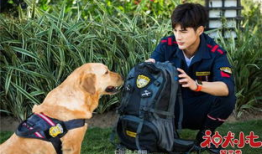 神犬小七3电视剧全集,忠诚守护，再续传奇之旅