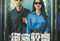 国安题材电视剧,揭秘幕后英雄的惊心动魄