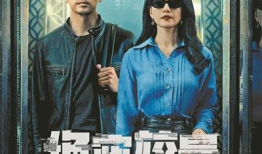 国安题材电视剧,揭秘幕后英雄的惊心动魄