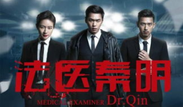 秦医法明电视剧,穿越时空的医术传奇