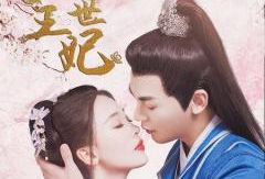 王妃电视剧,宫廷权谋与爱情纠葛的华丽篇章